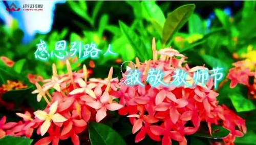 教师节 | 致敬身边每一位老师