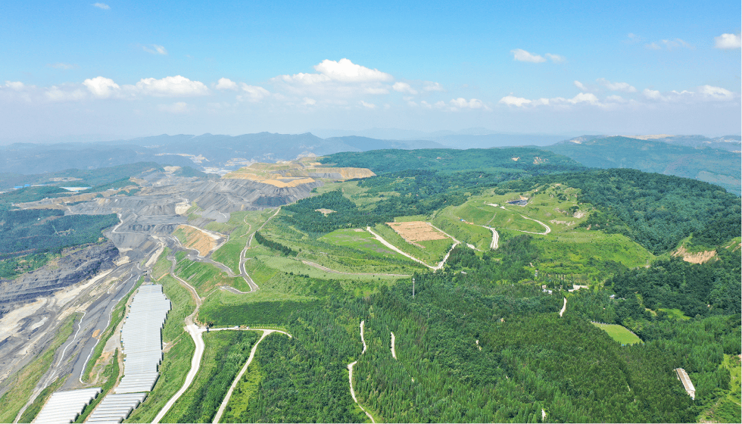 1769908177648696.png 6.png